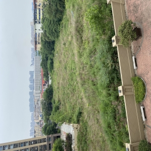 会前公示 西安市公安